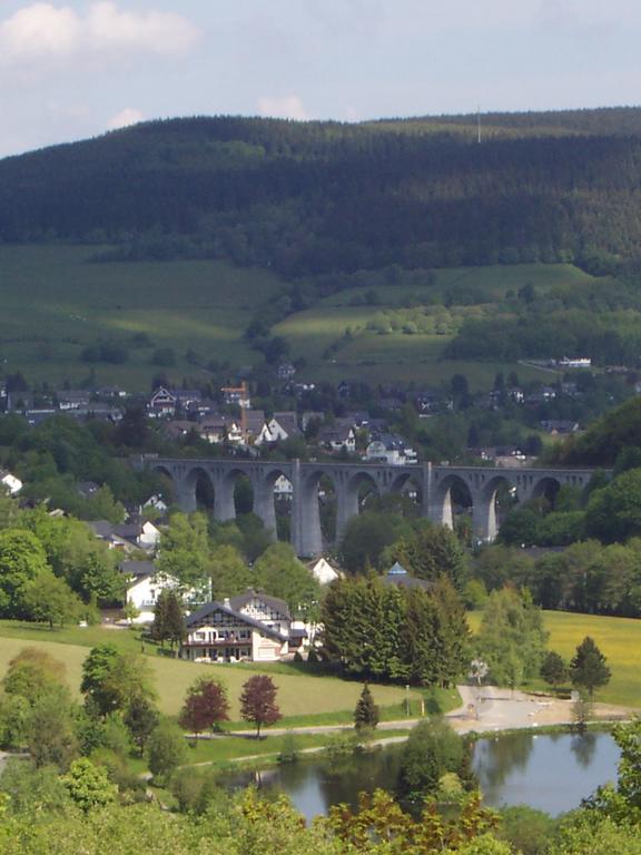 Wietheger'S Ferienwohnungen Gaestehaus Strycktal II Willingen  Ngoại thất bức ảnh