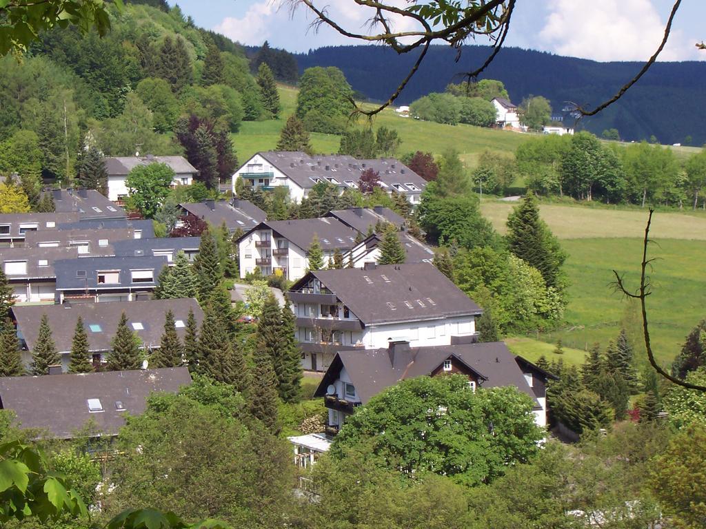 Wietheger'S Ferienwohnungen Gaestehaus Strycktal II Willingen  Ngoại thất bức ảnh